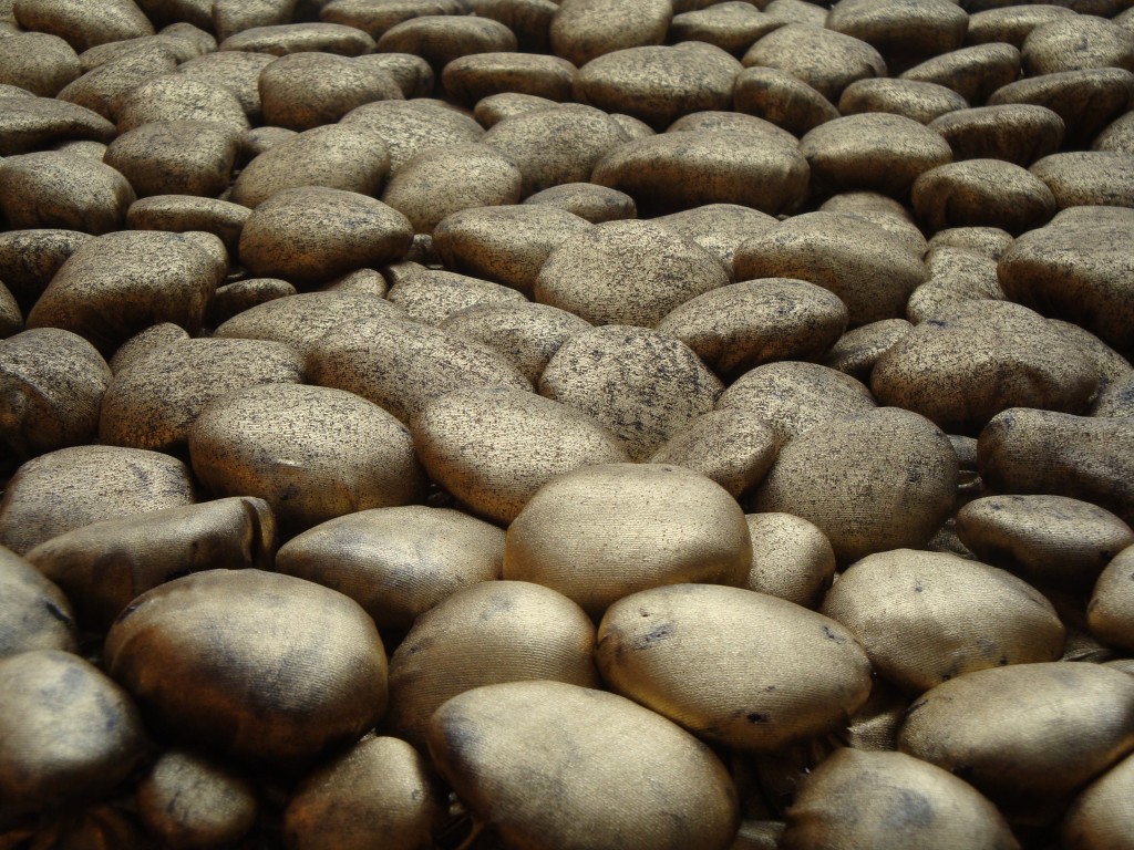 Kuldpruun kivikangas