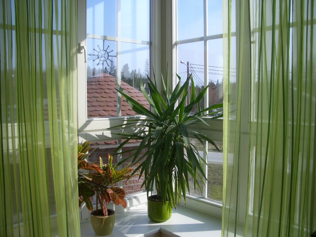 Rohelised kardinad
