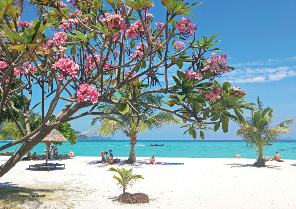 Pink Plumeria Beach by Liivi Leppik