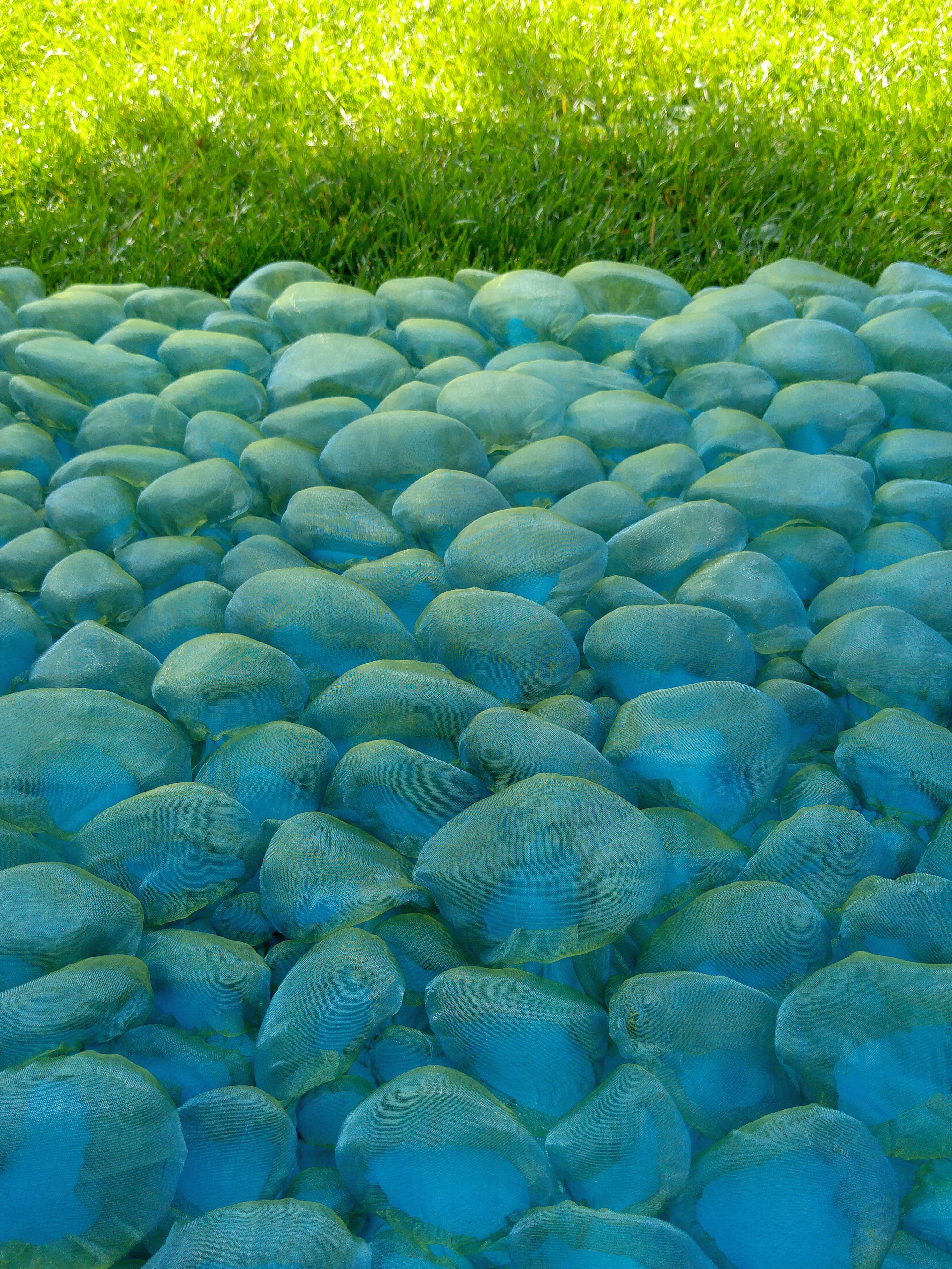 Sini-rohekas kivikangas, Liivi Leppik