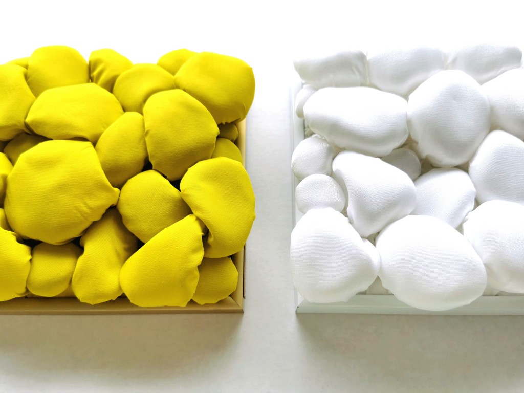 Minikivikangad, erkkollane ja valge, Liivi Leppik