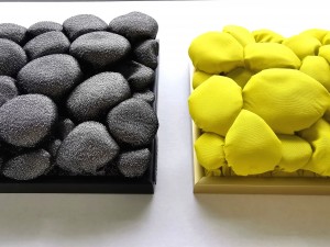 Minikivikangad, must ja erkkollane, Liivi Leppik